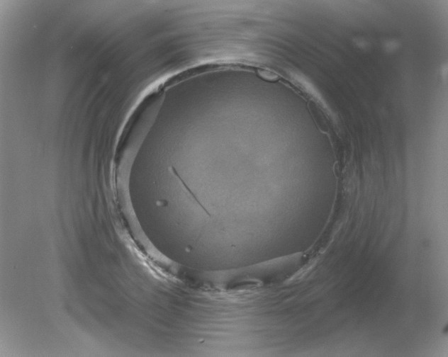 X0000081600932200701291357