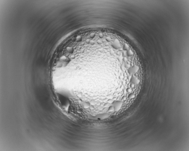 X0000081600933200701291357