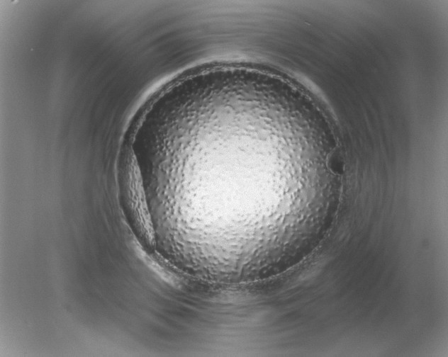 X0000081600935200701291357