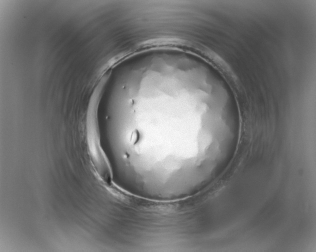 X0000081600937200701291357