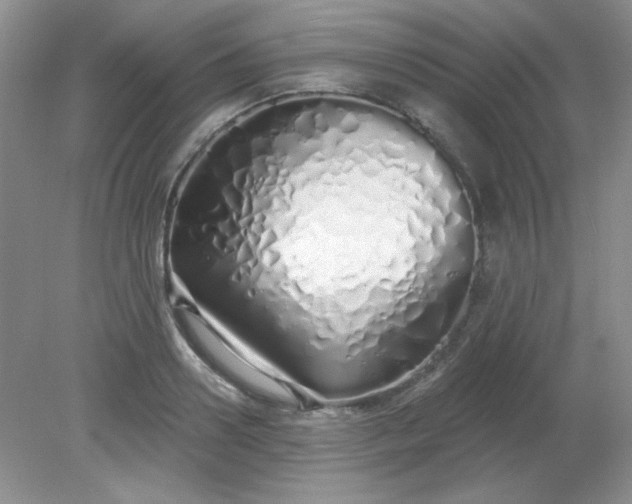 X0000081600938200701291357