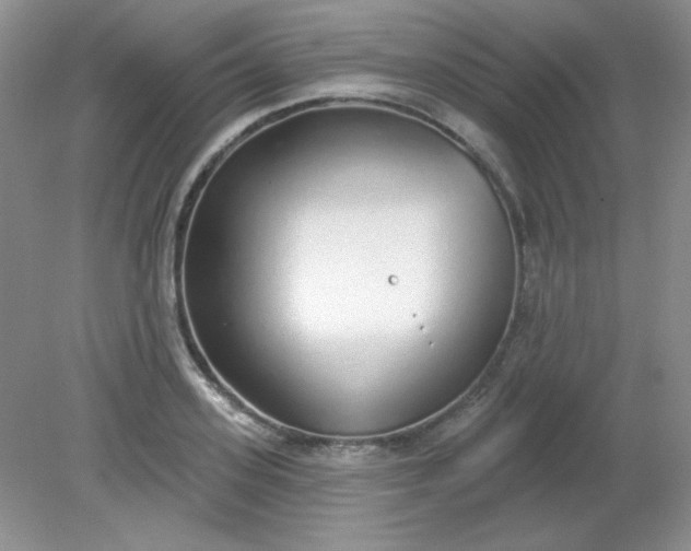 X0000081600939200701291357