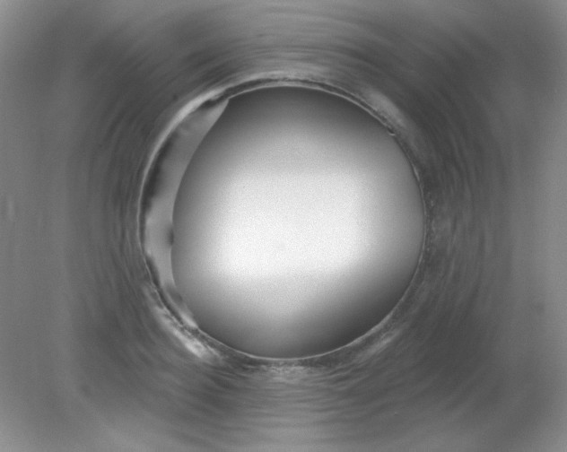 X0000081600940200701291357