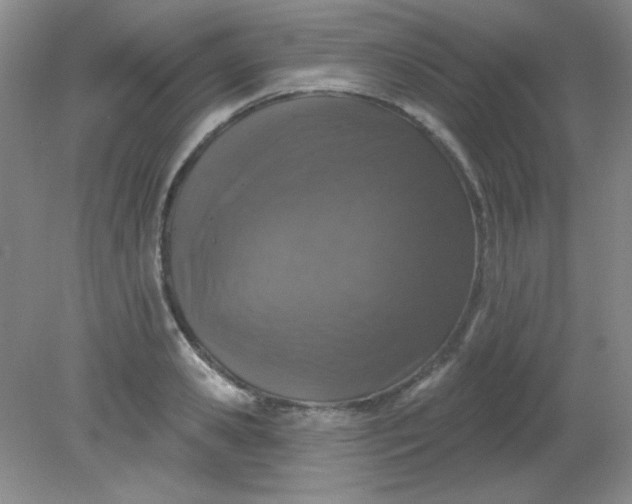 X0000081600941200701291358