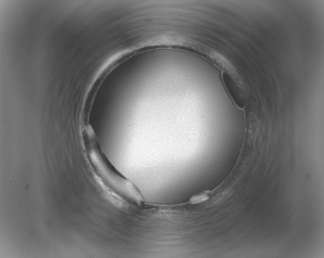 X0000081600942200701291358