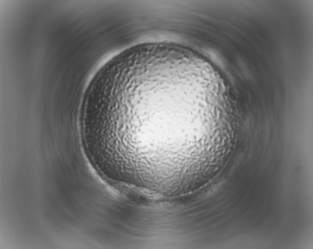 X0000081600943200701291358