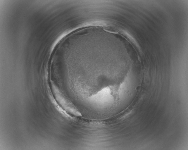 X0000081600944200701291358