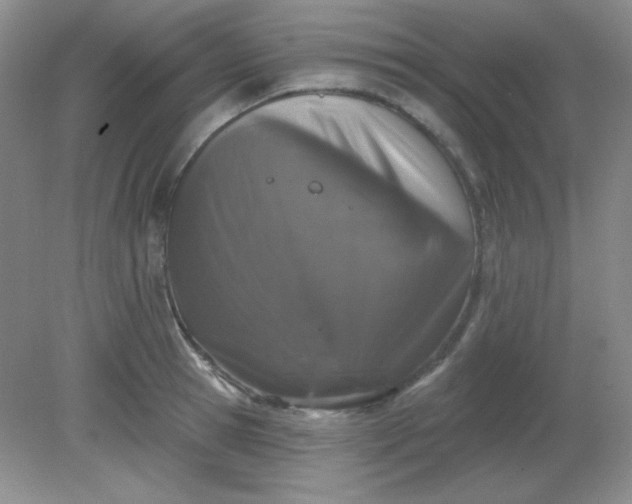 X0000081600945200701291358