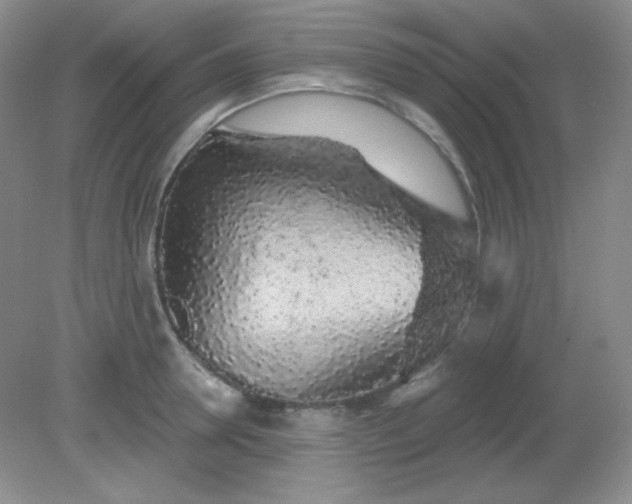 X0000081600946200701291358