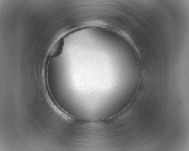 X0000081600947200701291358