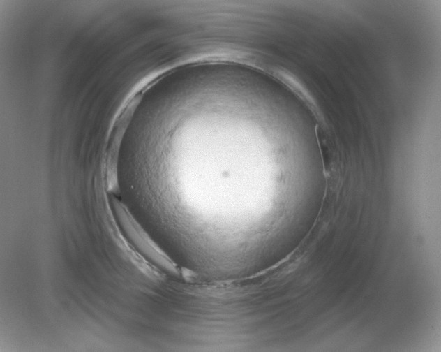 X0000081600948200701291358