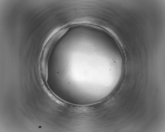 X0000081600949200701291358