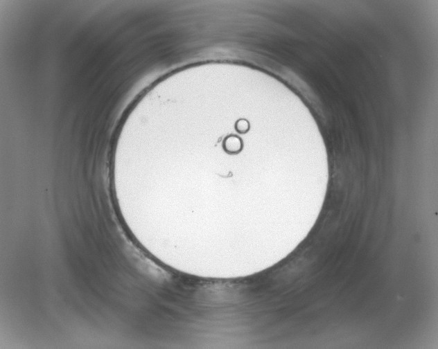 X0000081600950200701291358