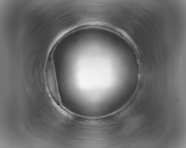 X0000081600951200701291358