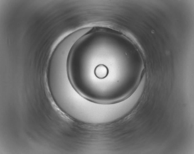 X0000081600952200701291358