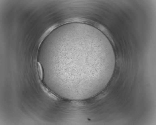 X0000081600954200701291358