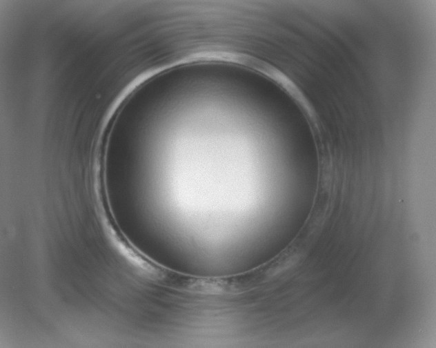 X0000081600955200701291358