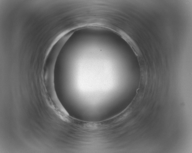 X0000081600956200701291358