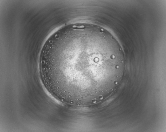 X0000081600957200701291358