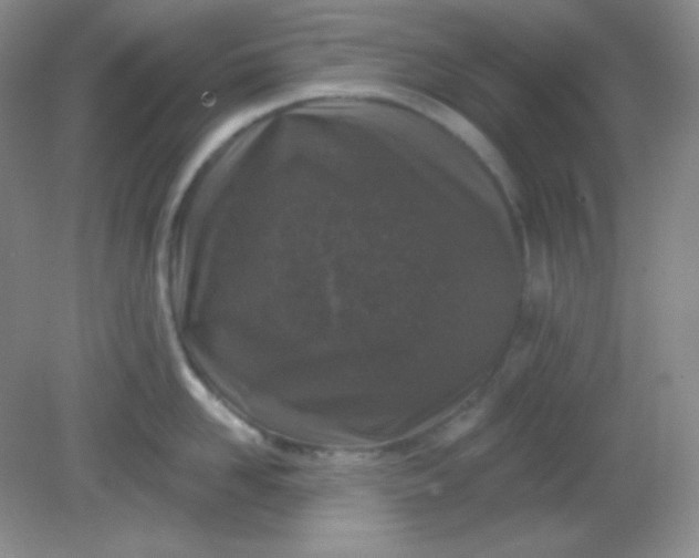 X0000081600958200701291358