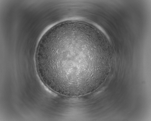 X0000081600959200701291358