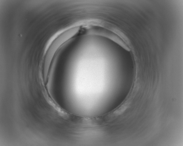 X0000081600960200701291358