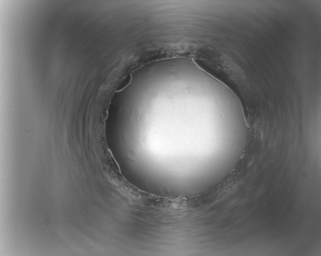 X0000081600961200701291357