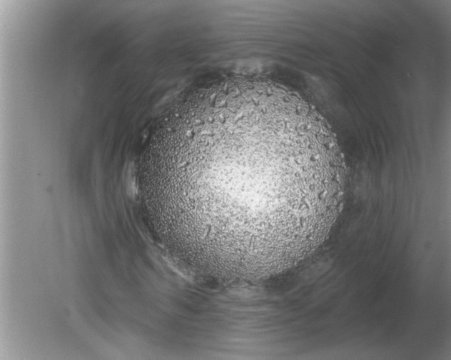 X0000081600962200701291357