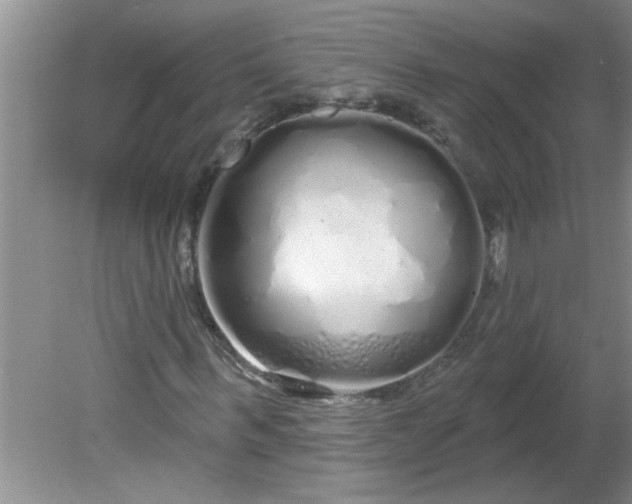 X0000081600963200701291357