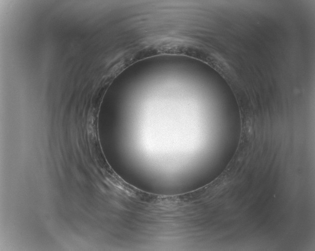 X0000081600964200701291357