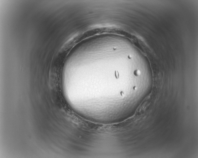 X0000081600967200701291357