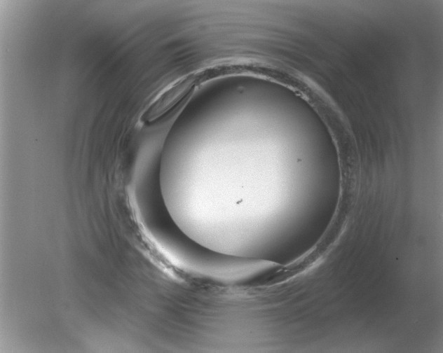 X0000081600969200701291357