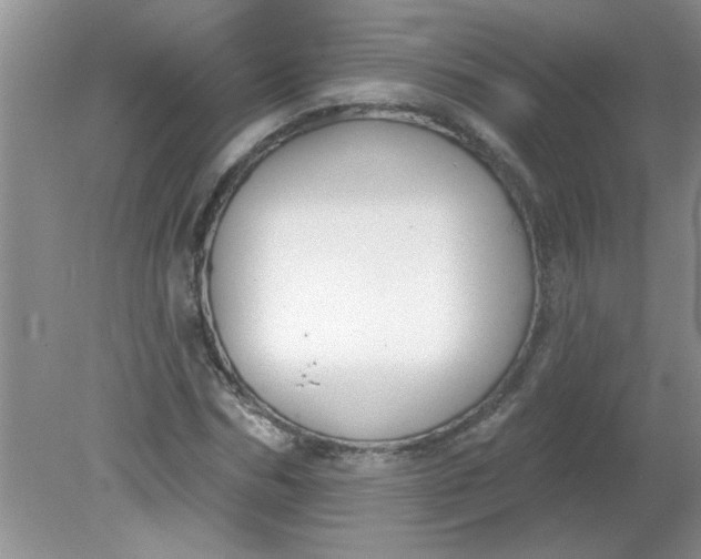 X0000081600970200701291357