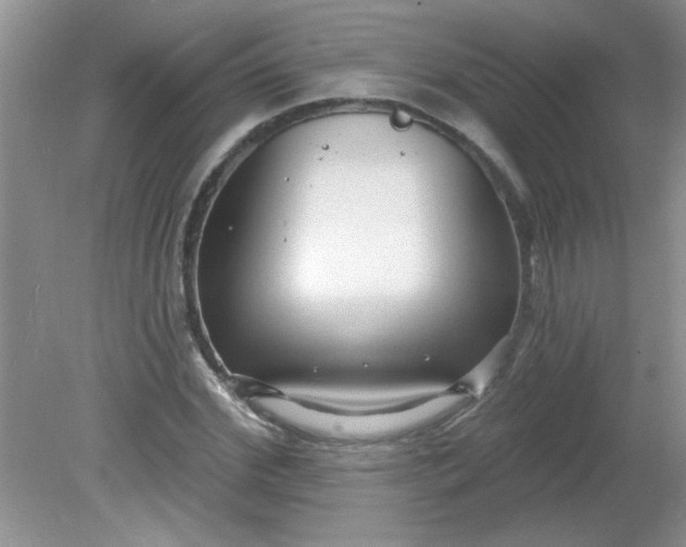 X0000081600972200701291357