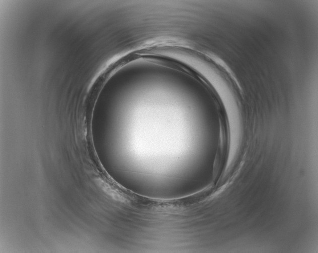 X0000081600973200701291357