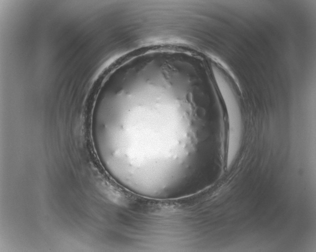 X0000081600975200701291357