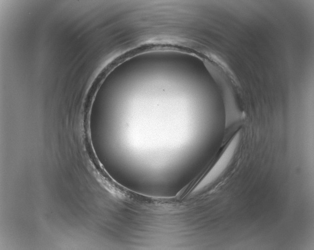 X0000081600976200701291357