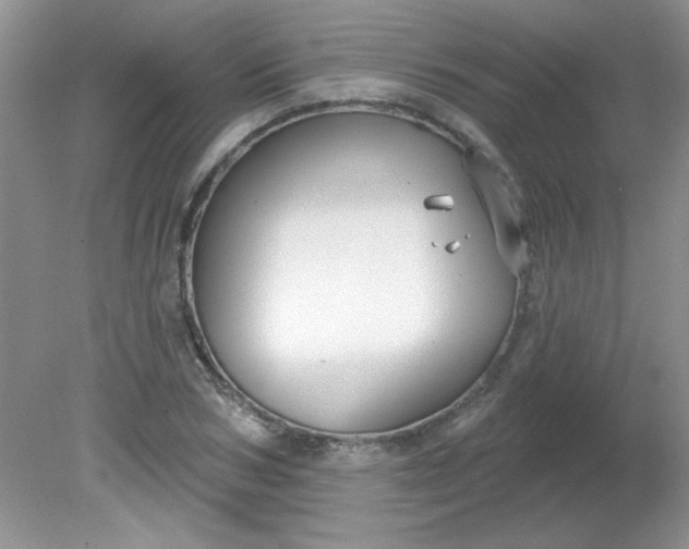 X0000081600978200701291357