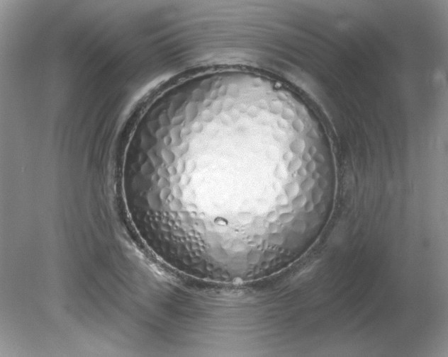 X0000081600979200701291357