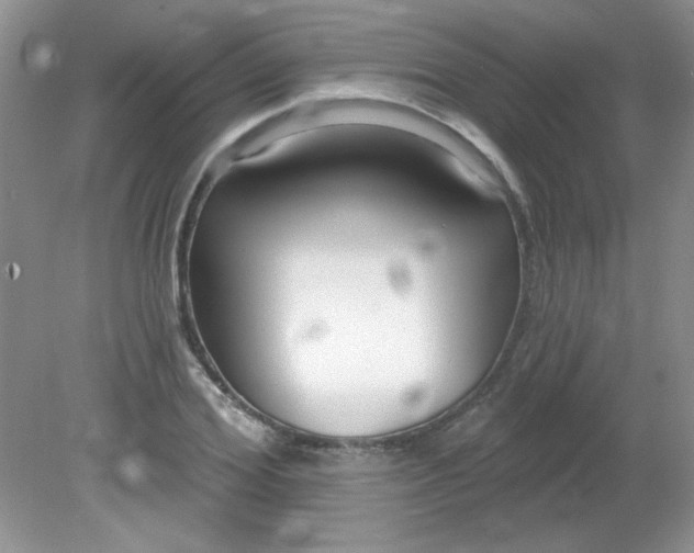 X0000081600980200701291357