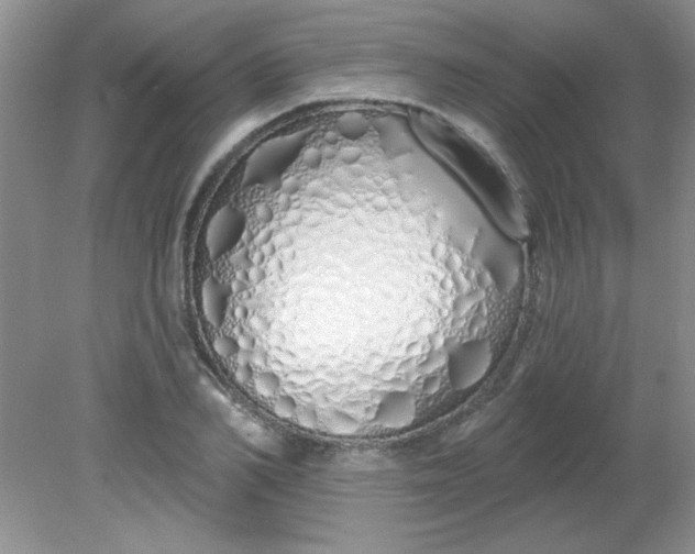 X0000081600982200701291357