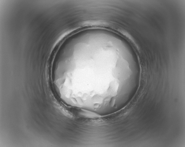 X0000081600983200701291357