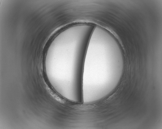 X0000081600984200701291357