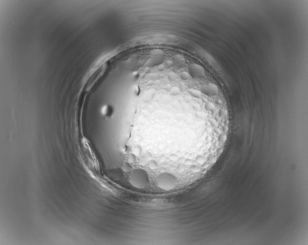 X0000081600986200701291357