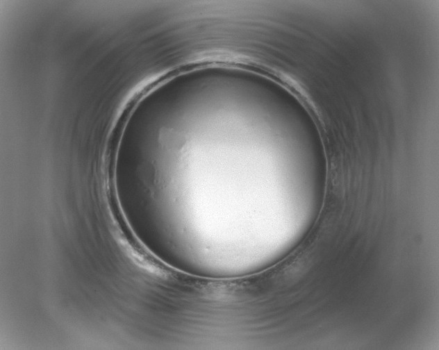 X0000081600987200701291357