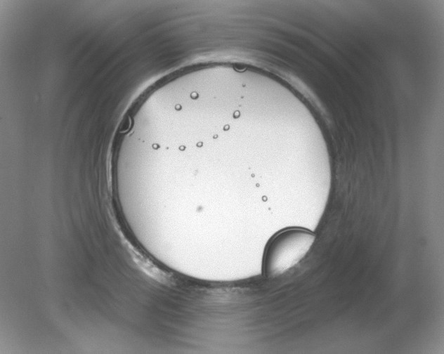 X0000081600988200701291357