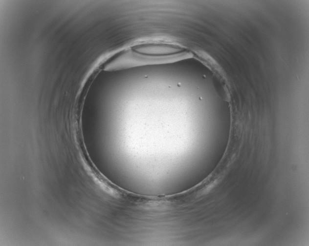 X0000081600989200701291357