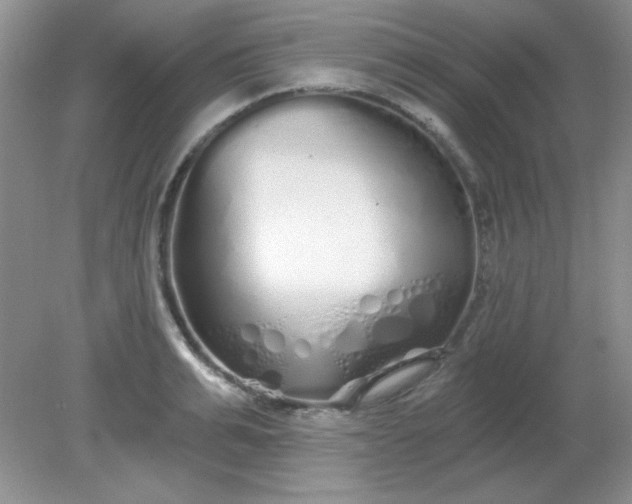 X0000081600991200701291357