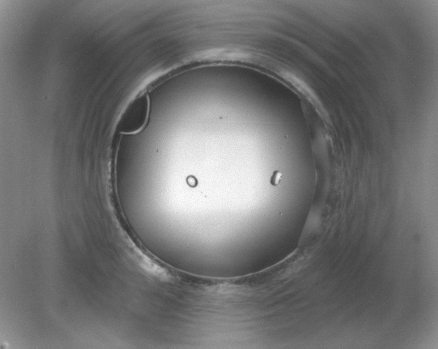 X0000081600992200701291357