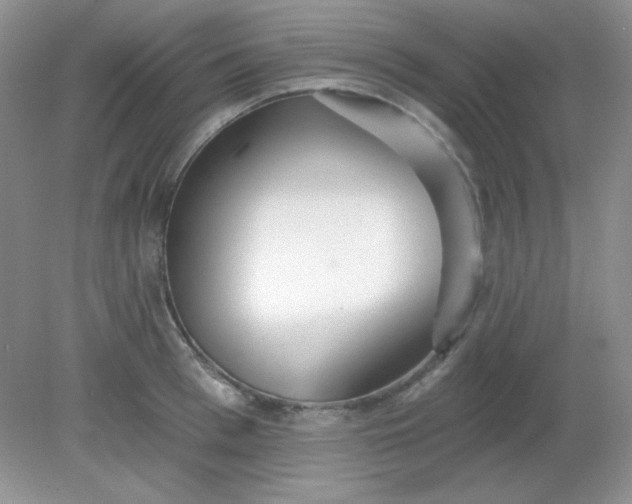 X0000081600993200701291356